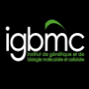 IGBMC