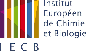 Institut Européen de Chimie et Biologie (IECB)