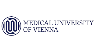 Postdoctoral Fellow in Biostatistics at the Medical University of Vienna