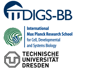 DIGS-BB & IMPRS-CellDevoSys