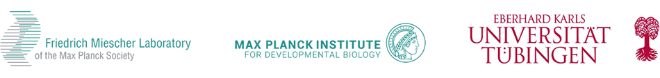 International Max Planck Research School IMPRS “From Molecules to Organisms”