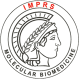 International Max Planck Research School – Molecular Biomedicine (IMPRS-MBM)