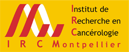 Montpellier Cancer Research Institute (IRCM)