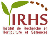 Research Institute of Horticulture and Seeds (IRHS)
