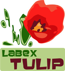 TULIP LabEx